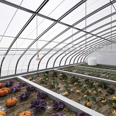 Schatten- und Lüftungssystem für Tomatenanbau für 40HQ Reefer Container Shipping