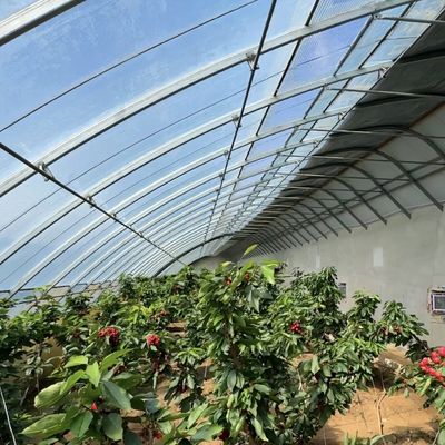 Schatten- und Lüftungssystem für Tomatenanbau für 40HQ Reefer Container Shipping