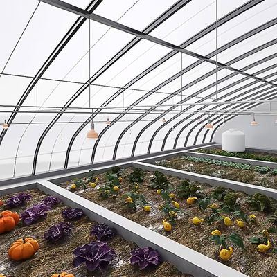 Schatten- und Lüftungssystem für Tomatenanbau für 40HQ Reefer Container Shipping
