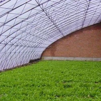 Schatten- und Lüftungssystem für Tomatenanbau für 40HQ Reefer Container Shipping