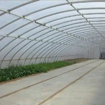 Schatten- und Lüftungssystem für Tomatenanbau für 40HQ Reefer Container Shipping