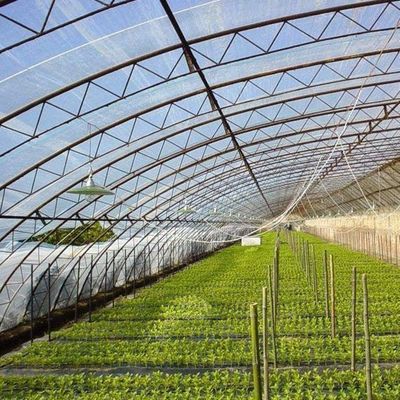 Schatten- und Lüftungssystem für Tomatenanbau für 40HQ Reefer Container Shipping