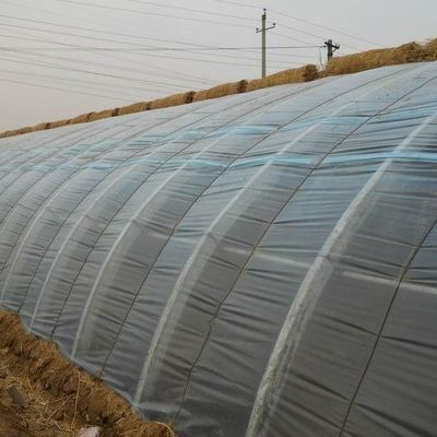 US-Währung Kommerzielle Tomatenpflanzung Sonnenlicht Gewächshaus für eine optimale Pflanzenproduktion