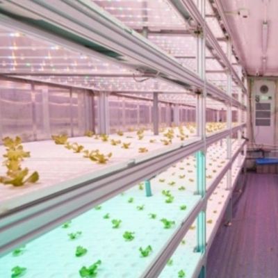 Schifffahrtscontainer Gewächshaus für die hydroponische vertikale Landwirtschaft in der kommerziellen Industrie