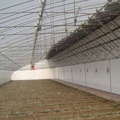 Tomaten Sonnenlicht Gewächshaus optimiertes Bewässerungssystem mit Single Span JX-SG-127