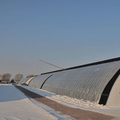 Tomaten Sonnenlicht Gewächshaus optimiertes Bewässerungssystem mit Single Span JX-SG-127