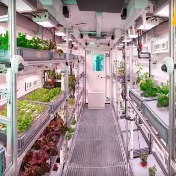 Gewerblicher vertikaler Anbaubetriebsbehälter Gewächshaus mit Hydroponiksystem
