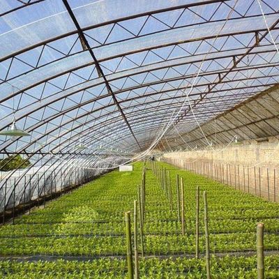 Vorübergehende Heizung Klima-kontrollierter Sonnenstrahl Gewächshaus für Tomaten und Gurken