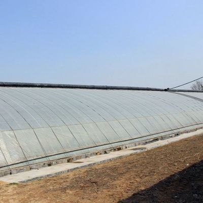 Stahlkonstruktion/Wandfeuchtigkeitskontrollierter Sonnenstrahl-Gewächshaus für Gemüseanbau