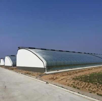 Juxiang Automatische Bewässerung Sonnenlicht Gewächshaus für Gemüse Lüftung und Schatten