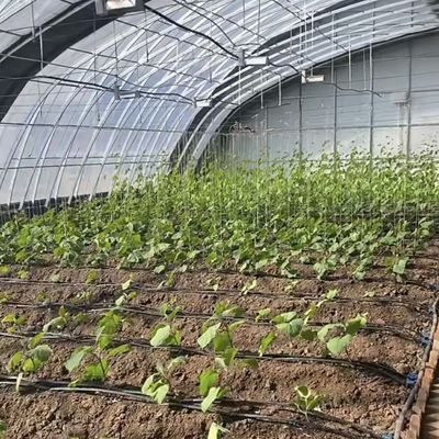 Juxiang Automatische Bewässerung Sonnenlicht Gewächshaus für Gemüse Lüftung und Schatten