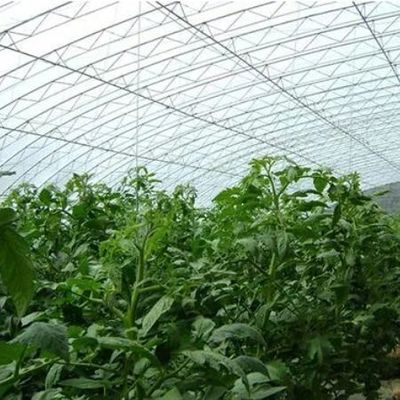 Bewässerungssystem Sonnenlicht Gewächshaus für Gemüse US-Währung und vorübergehende Heizung
