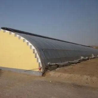 Sonnenstrahlverstärkte Gewächshäuser für den Tomatenanbau Doppelschicht und Bogendach