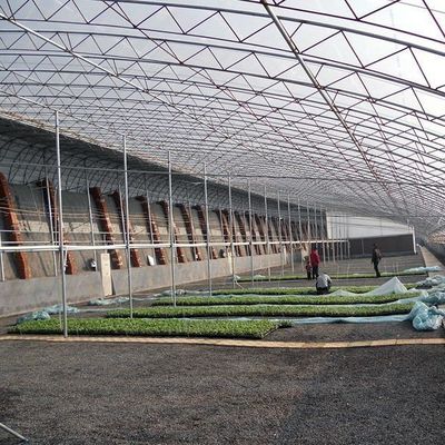 Sonnenstrahlverstärkte Gewächshäuser für den Tomatenanbau Doppelschicht und Bogendach