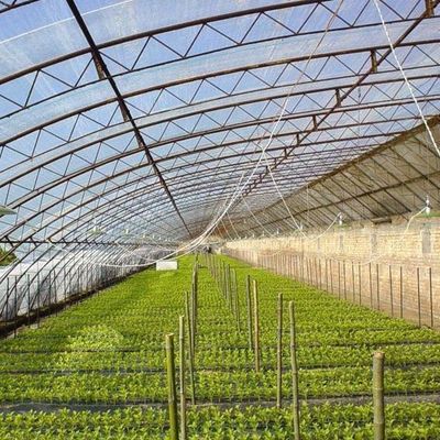 Doppelschicht-Gewächshaus für Gemüseanbau und temporäre Heizproduktivität