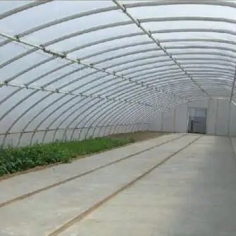 Vorgeschrittenes Sonnenlicht-Gewächshaus für Gemüse mit Feuchtigkeitskontrolle und optimalem Pflanzenwachstum