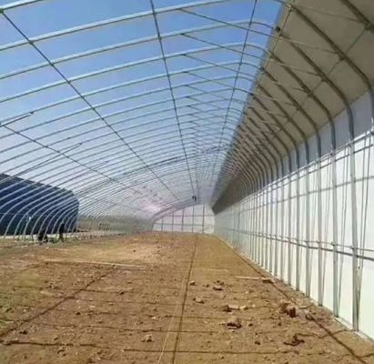 Vorgeschrittenes Sonnenlicht-Gewächshaus für Gemüse mit Feuchtigkeitskontrolle und optimalem Pflanzenwachstum