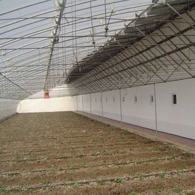 Vorgeschrittenes Sonnenlicht-Gewächshaus für Gemüse mit Feuchtigkeitskontrolle und optimalem Pflanzenwachstum