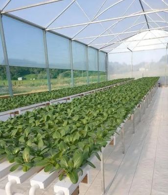 Revolutionäre hydroponische vertikale Anbautechnologie für Schiffscontainer Gewächshäuser