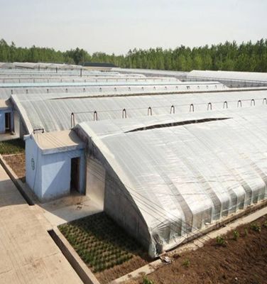 1209.00cm * 235.00cm * 239.00cm Tomaten und Gurken Pflanzen Sonnenlicht Gewächshaus für Sie