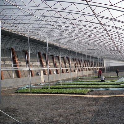 1209.00cm * 235.00cm * 239.00cm Tomaten und Gurken Pflanzen Sonnenlicht Gewächshaus für Sie