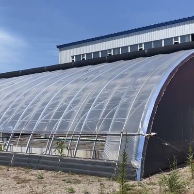1209.00cm * 235.00cm * 239.00cm Tomaten und Gurken Pflanzen Sonnenlicht Gewächshaus für Sie