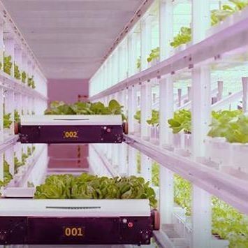 Vertikaler Landwirtschaftsbehälter Gewächshaus mit hydroponischer Innovation in US-Währung