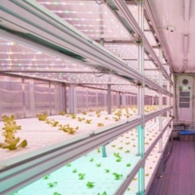 Vertikaler Landwirtschaftsbehälter Gewächshaus mit hydroponischer Innovation in US-Währung