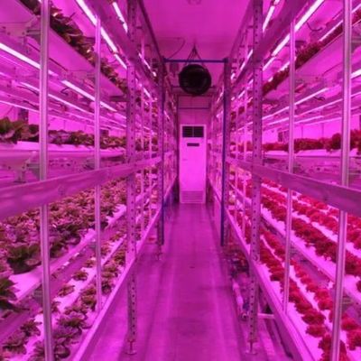 Vertikaler Landwirtschaftsbehälter Gewächshaus mit hydroponischer Innovation in US-Währung