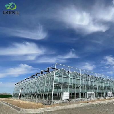 Gewächshäuser des Typs Venlo mit externem Schattierungssystem