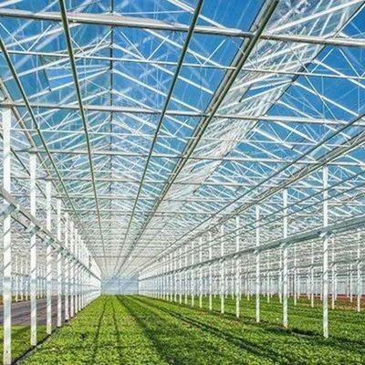 Gewächshäuser des Typs Venlo mit externem Schattierungssystem