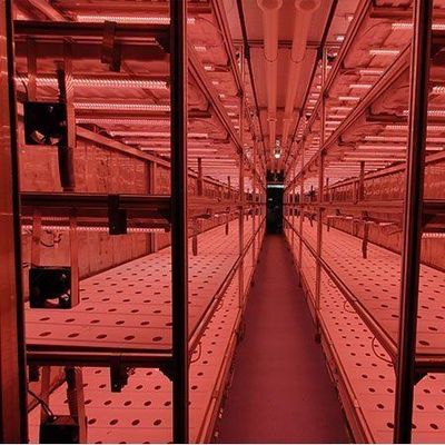 Hochfeuchtigkeitsvertikaler Anbau Hydroponischer Behälter Gewächshaus für Gemüse