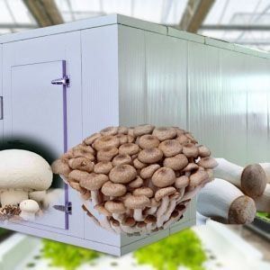 Hochfeuchtigkeitsvertikaler Anbau Hydroponischer Behälter Gewächshaus für Gemüse