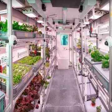 Gewächshaus mit mehreren Spannweiten für Hydroponik und Vorteile der vertikalen Landwirtschaft