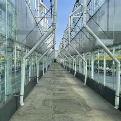Garten Gemüse und Blumen Gewölbe Dach Glas Gewächshaus mit Hydroponik System