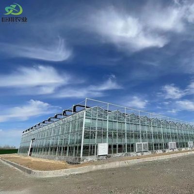 Garten Gemüse und Blumen Gewölbe Dach Glas Gewächshaus mit Hydroponik System