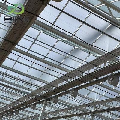 Garten Gemüse und Blumen Gewölbe Dach Glas Gewächshaus mit Hydroponik System