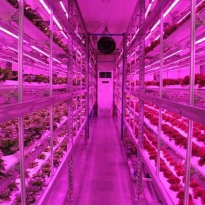 Schifffahrt Container Vertikale Landwirtschaft Gewerbliches Gewächshaus mit Hydroponik Innovation
