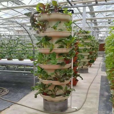 Vertikaler Landwirtschaftsbehälter Gewächshaus in 40HQ Reefer mit hydroponischem Behälter