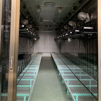 Stahlüberdeckung Hydroponischer vertikaler Anbaubetrieb Gewächshaus mit fortschrittlicher Technologie