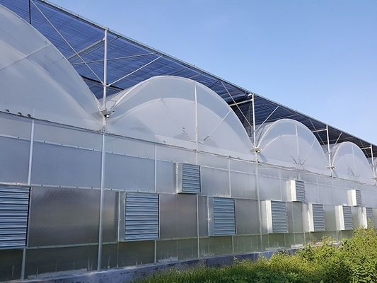 Hydroponischer Anbau Gewächshaus mit Kunststoffblech und Single Span Design