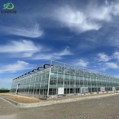 Anpassung Juxiang Gewächshaus anpassbare kommerzielle Film und Glas Gewächshaus