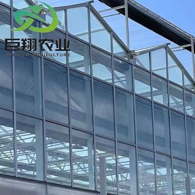 Anpassung Juxiang Gewächshaus anpassbare kommerzielle Film und Glas Gewächshaus