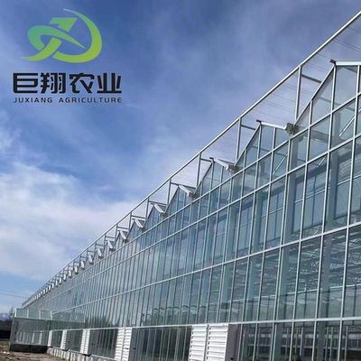 Anpassung Juxiang Gewächshaus anpassbare kommerzielle Film und Glas Gewächshaus