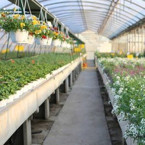 Mehrspannungs-Hydroponisches System für die Gewächshausverpackung mit Farmfilm Bruttogewicht 2000.000kg