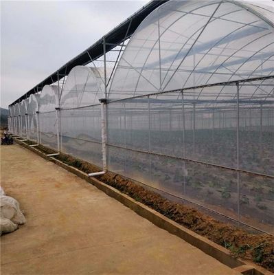 Mehrspannungs-Hydroponisches System für die Gewächshausverpackung mit Farmfilm Bruttogewicht 2000.000kg