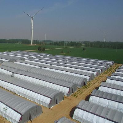 Mehrspannungs-Hydroponisches System für die Gewächshausverpackung mit Farmfilm Bruttogewicht 2000.000kg