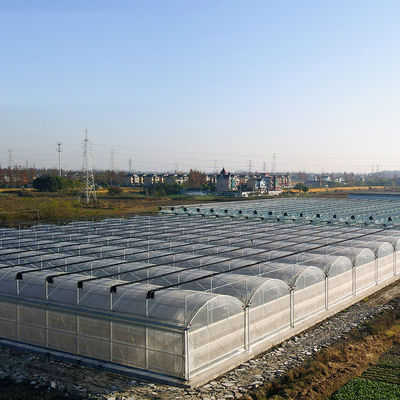 Herkunft Doppelbogen-Hydroponisches Gewächshaus JX-FG-001 mit und 1 Quadratmeter Min.Order