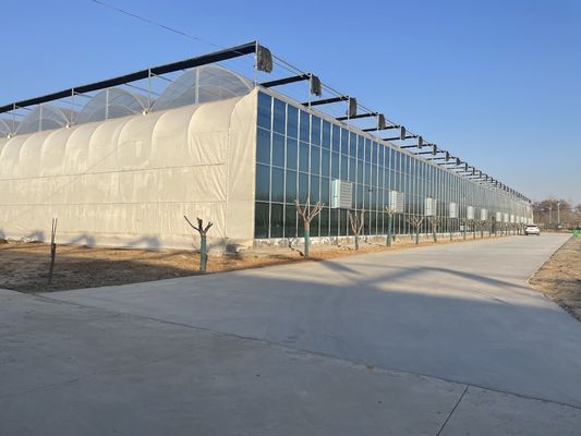 Doppelschicht Tomaten Gurke Pfefferblüten Gewächshaus mit und vorübergehender Heizung