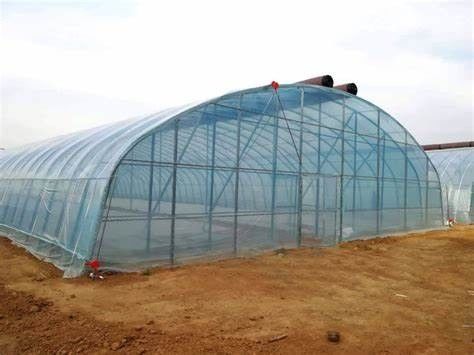 Juxiang Hydroponic Farm Film Gewächshaus mit Stahlkonstruktion und 30-Tage-Rückerstattung